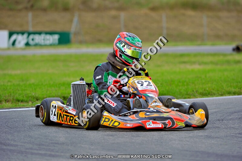 DSC_ (156).jpg